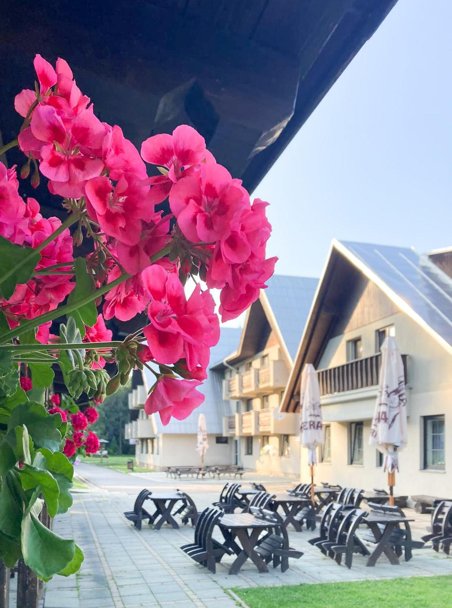 Hotel Hornik Žďár nad Sázavou Esterno foto